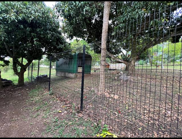 83HA FARM FOR SALE IN WHITE RIVER AH